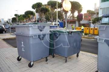 Parques y Jardines elimina en Salinetas el árbol que ensuciaba los recipientes de basura (Foto TA)